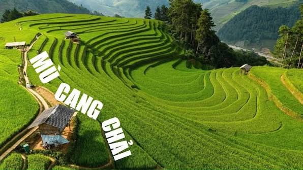 ruộng bậc thang